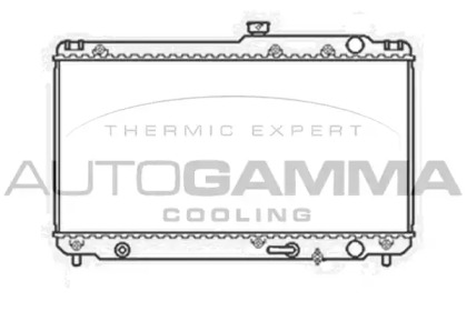 Теплообменник AUTOGAMMA 104670