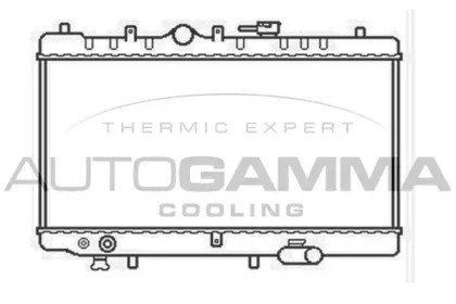 Теплообменник AUTOGAMMA 104672