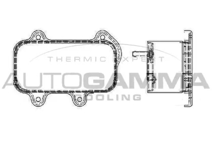 Теплообменник AUTOGAMMA 104792