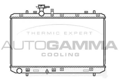 Теплообменник AUTOGAMMA 104824