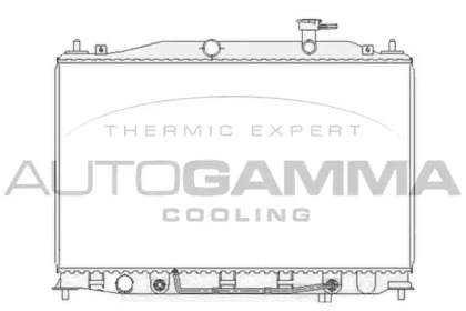 Теплообменник AUTOGAMMA 104827