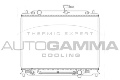 Теплообменник AUTOGAMMA 104831