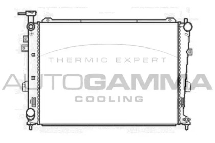 Теплообменник AUTOGAMMA 104839