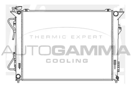 Теплообменник AUTOGAMMA 104844