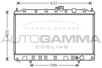 Теплообменник AUTOGAMMA 104856