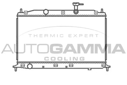 Теплообменник AUTOGAMMA 105046