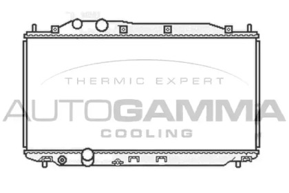 Теплообменник AUTOGAMMA 105108