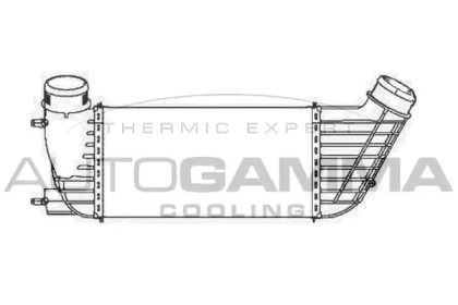 Теплообменник AUTOGAMMA 105253