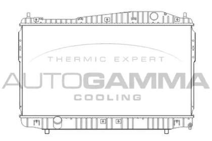 Теплообменник AUTOGAMMA 105391