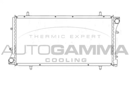 Теплообменник AUTOGAMMA 105396
