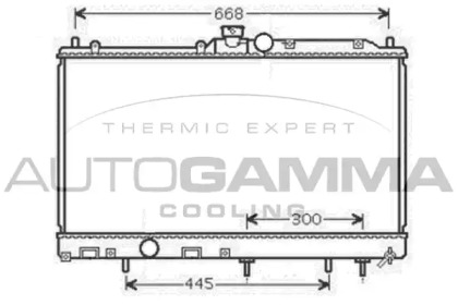 Теплообменник AUTOGAMMA 105398