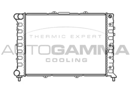 Теплообменник AUTOGAMMA 105432