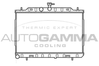 Теплообменник AUTOGAMMA 105441