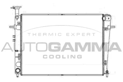 Теплообменник AUTOGAMMA 105534