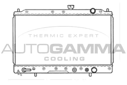 Теплообменник AUTOGAMMA 105569