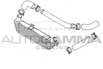 Теплообменник AUTOGAMMA 105724