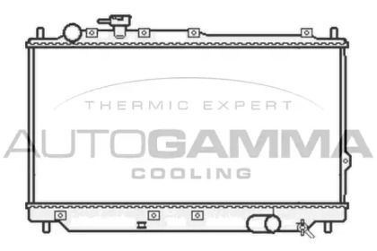 Теплообменник AUTOGAMMA 105800