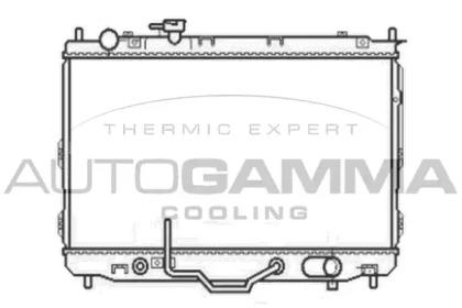 Теплообменник AUTOGAMMA 105802