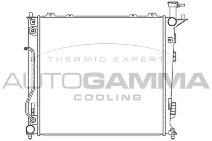 Теплообменник AUTOGAMMA 105808