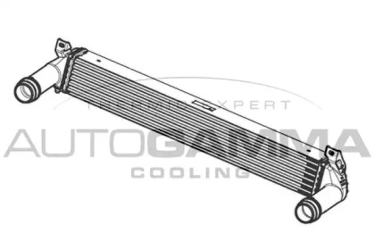 Теплообменник AUTOGAMMA 105948