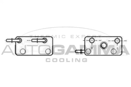 Теплообменник AUTOGAMMA 107012