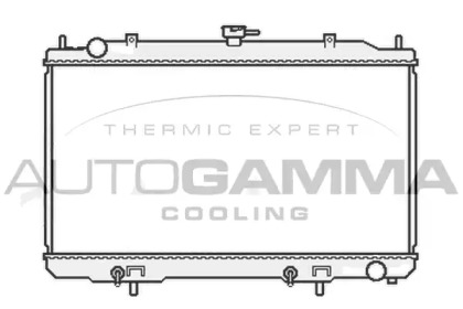 Теплообменник AUTOGAMMA 107018