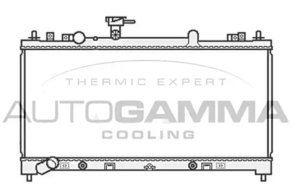 Теплообменник AUTOGAMMA 107039