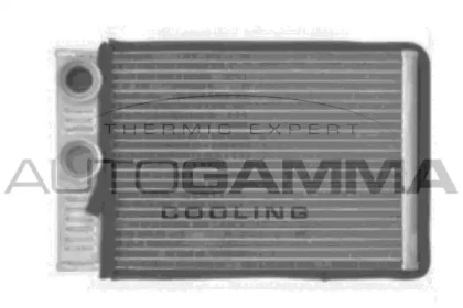 Теплообменник AUTOGAMMA 107167