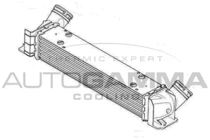 Теплообменник AUTOGAMMA 107335