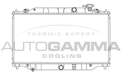 Теплообменник AUTOGAMMA 107350