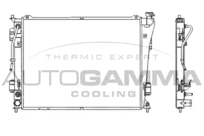 Теплообменник AUTOGAMMA 107390