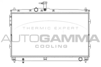 Теплообменник AUTOGAMMA 107392