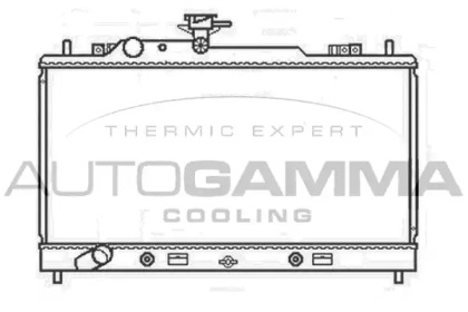 Теплообменник AUTOGAMMA 107427