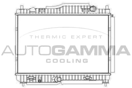 Теплообменник AUTOGAMMA 107581