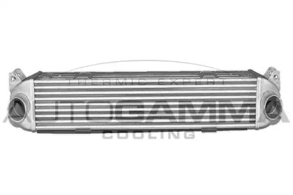 Теплообменник AUTOGAMMA 107689