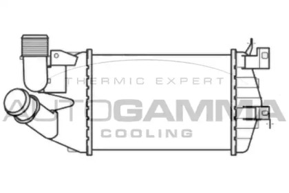 Теплообменник AUTOGAMMA 107742