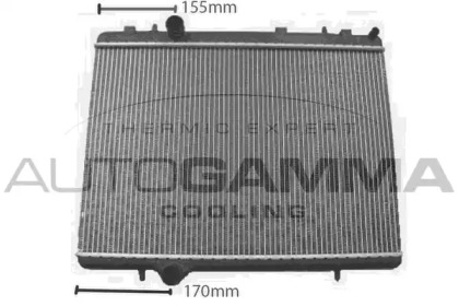 Теплообменник AUTOGAMMA 107755