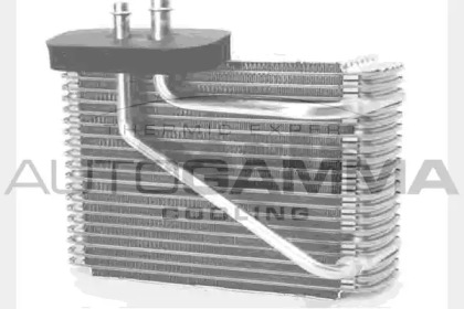 Испаритель AUTOGAMMA 112017