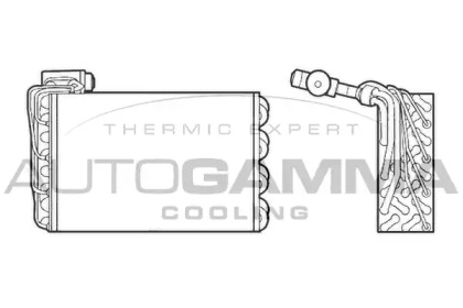 Испаритель AUTOGAMMA 112048