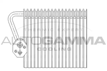 Испаритель AUTOGAMMA 112060