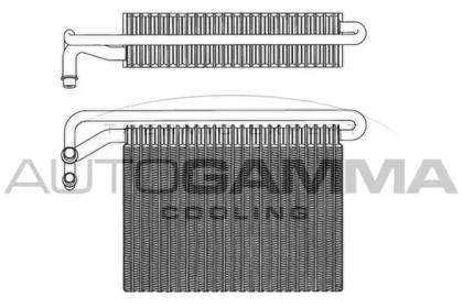 Испаритель AUTOGAMMA 112076