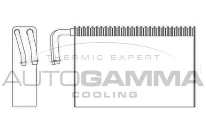 Испаритель AUTOGAMMA 112079