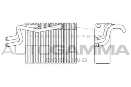 Испаритель AUTOGAMMA 112117