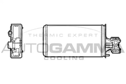 Теплообменник AUTOGAMMA 300994