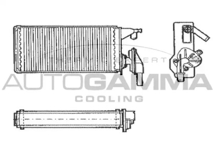 Теплообменник AUTOGAMMA 303348