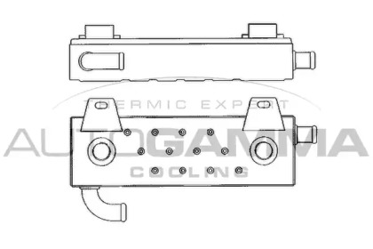 Теплообменник AUTOGAMMA 303706