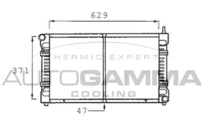 Теплообменник AUTOGAMMA 400482