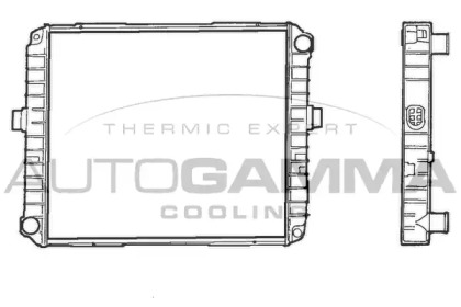 Теплообменник AUTOGAMMA 400778