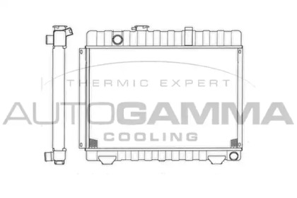 Теплообменник AUTOGAMMA 403472