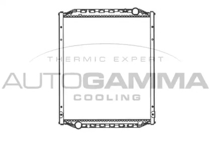 Теплообменник AUTOGAMMA 403682